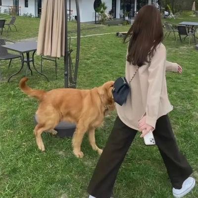无尽情爱