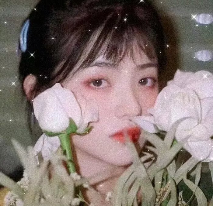 泡芙小姐第七季